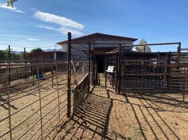 A fenced in area with cattle inside of it